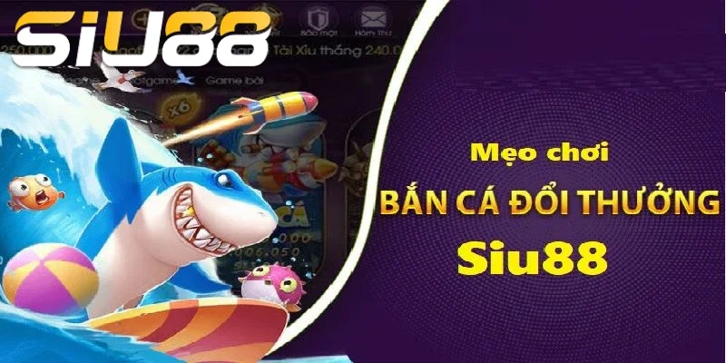 Lựa chọn bàn chơi hợp lý là bước khởi đầu quan trọng để tăng cơ hội thắng lợi