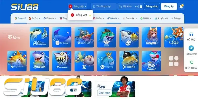 Rất nhiều ưu đãi lớn đang sẵn sàng dành cho bạn