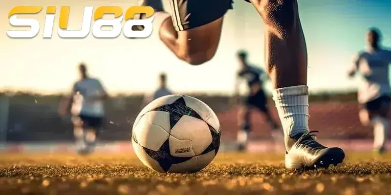 TRANG CHỦ Sin88 sở hữu mạng lưới người chơi đông đảo trải dài khắp toàn cầu